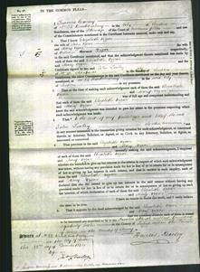 Court of Common Pleas - Elizabeth Vigar-Original Ancestry