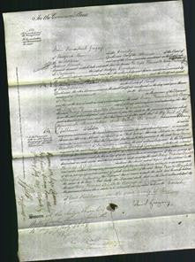 Court of Common Pleas - Mary Frances Elizabeth Boscarven-Original Ancestry