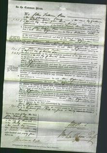 Court of Common Pleas - Ann Highman Cates-Original Ancestry