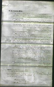 Court of Common Pleas - Elizabeth Waterhouse, Ann Guest and Helen Ditchfield-Original Ancestry