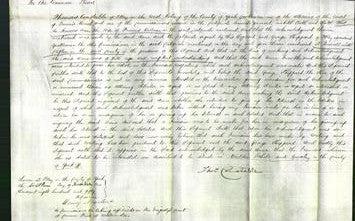 Court of Common Pleas - Anne Billam-Original Ancestry