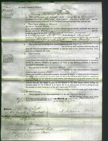 Court of Common Pleas - Sophia Wood-Original Ancestry