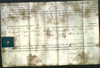 Deed by Married Women - Fanny Eliza Adams-Original Ancestry