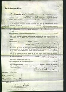 Court of Common Pleas - Jane Evans-Original Ancestry