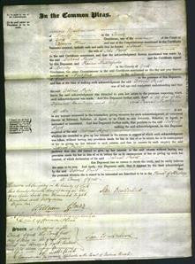 Court of Common Pleas - Deborah Paget-Original Ancestry