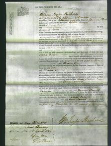 Court of Common Pleas - Sophia Craigie and Eleanor James-Original Ancestry