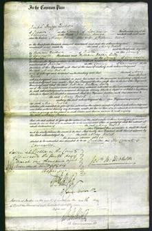 Court of Common Pleas - Mary Welch-Original Ancestry