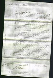 Court of Common Pleas - Ann Caddick-Original Ancestry