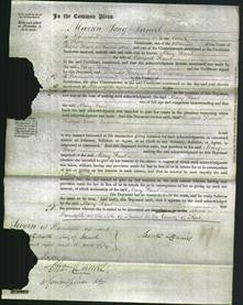 Court of Common Pleas - Mary Hunt-Original Ancestry