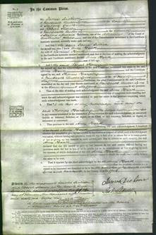 Court of Common Pleas - Anne Heath-Original Ancestry