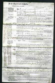 Court of Common Pleas - Elizabeth Melland, Sarah Jane Doddridge and Lavinia Ferris-Original Ancestry