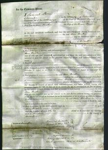 Court of Common Pleas - Ann Rushin-Original Ancestry