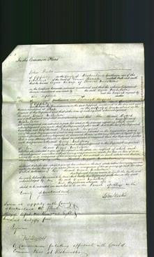 Court of Common Pleas - Agnes Nicholson-Original Ancestry