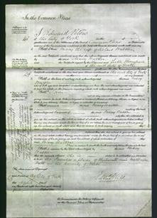 Court of Common Pleas - Mary Walker-Original Ancestry