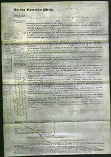 Court of Common Pleas - Martha Hedge-Original Ancestry