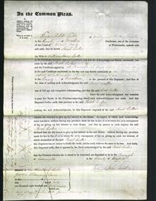 Court of Common Pleas - Sarah Bedford Callis-Original Ancestry