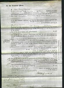 Court of Common Pleas - Mary Ann Holditch Elliott-Original Ancestry