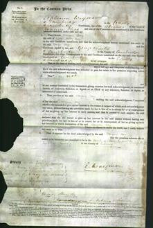 Court of Common Pleas - Margaret Bays-Original Ancestry