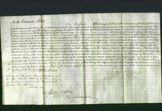 Court of Common Pleas - Susanna Stephens-Original Ancestry