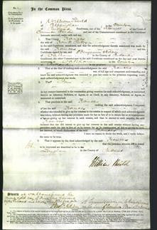 Court of Common Pleas - Frances Riley-Original Ancestry