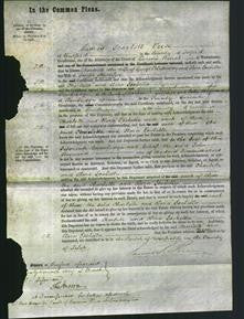 Court of Common Pleas - Charlotte Blakeway and Clara Isabella Hallifax-Original Ancestry