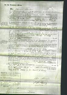 Court of Common Pleas - Gertrude Allen-Original Ancestry