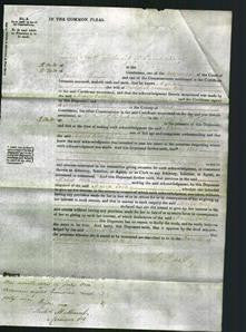 Court of Common Pleas - Maria Cobb-Original Ancestry