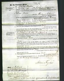 Court of Common Pleas - Grace Williams-Original Ancestry