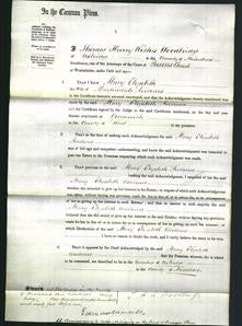 Court of Common Pleas - Mary Elizabeth Andrews-Original Ancestry