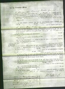 Court of Common Pleas - Eliza Hyatt-Original Ancestry