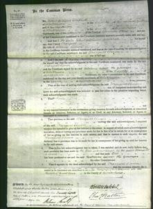 Court of Common Pleas - Margaret Simon-Original Ancestry