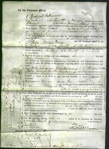 Court of Common Pleas - Mary Evans-Original Ancestry