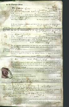 Court of Common Pleas - Rebecca Moss-Original Ancestry
