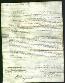 Court of Common Pleas - Elizabeth Whitehorn and Jane Brooker-Original Ancestry