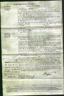 Court of Common Pleas - Margaret Isabella Ledgard-Original Ancestry