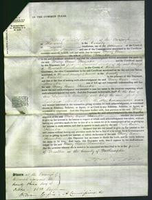 Court of Common Pleas - Mary Anne Staunton-Original Ancestry