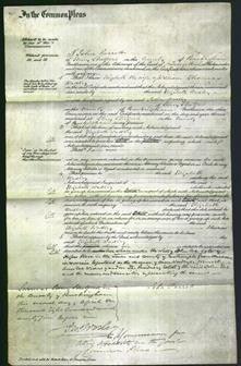 Court of Common Pleas - Elizabeth Wadley-Original Ancestry