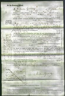 Court of Common Pleas - Elizabeth Colls-Original Ancestry