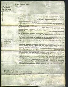 Court of Common Pleas - Mary Ann Wilson-Original Ancestry