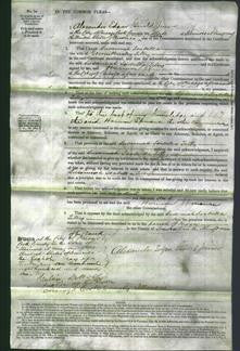 Court of Common Pleas - Susannah Isabella Tilly-Original Ancestry