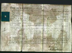 Deed by Married Women - Elizabeth Browett-Original Ancestry