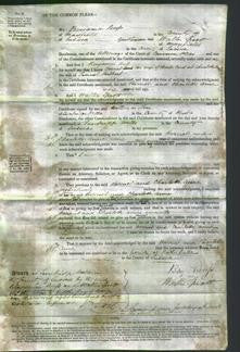 Court of Common Pleas - Harriet Card-Original Ancestry