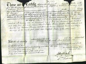 Deed by Married Women - Ann Willard-Original Ancestry