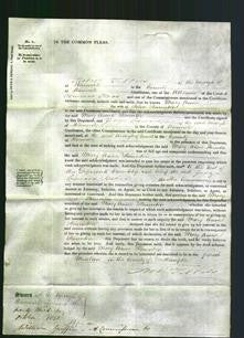 Court of Common Pleas - Mary Anne Staunton-Original Ancestry