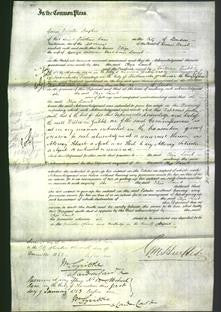 Court of Common Pleas - Eliza Lamb-Original Ancestry