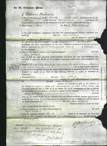 Court of Common Pleas - Ann Willard-Original Ancestry