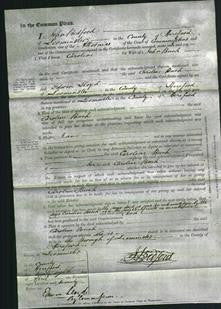 Court of Common Pleas - Caroline Beech-Original Ancestry