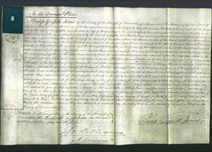 Court of Common Pleas - Mary Griffiths and Charlotte Evans-Original Ancestry