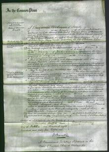 Court of Common Pleas - Elizabeth King, Margaret Kimble and Mary Wilson-Original Ancestry