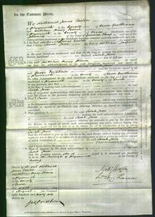 Court of Common Pleas - Sarah Jane Jasper-Original Ancestry